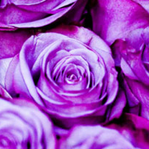 快速资源调度的ddos攻击工具